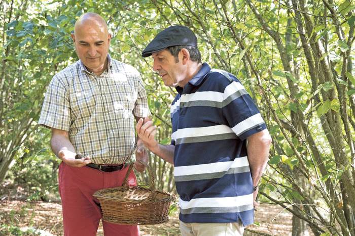 Scenic Luxury Cruises & Tours Scenic Freechoice 3.jpg